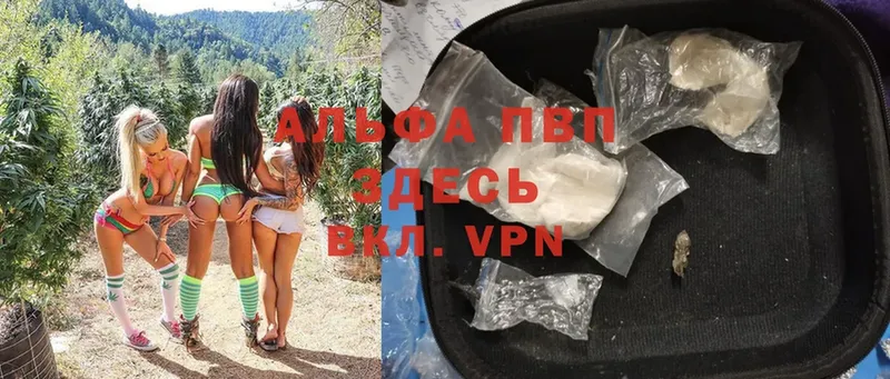 Alfa_PVP СК  MEGA как войти  Артёмовский  где продают наркотики 